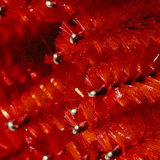 Lip , Chin , Eyebrow package at Bahari Esthetics in Upper Malboro, MD